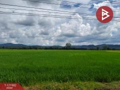 ขายที่ดิน เนื้อที่ 5 ไร่ 1 งาน 2 ตร.วา ทองแสนขัน อุตรดิตถ์-202509191300251758261625940.jpg