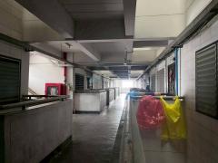 ขายที่ดิน ถมแล้ว เริ่มที่ 100 ตรว. +โกดัง,โรงงาน,คลังสินค้า,ออฟฟิศ ย่านลาดหลุมแก้ว ปทุมธานี Tel 0618416555-202509191454211758268461604.jpg