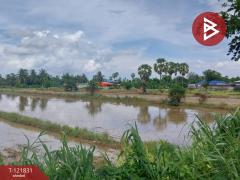 ขายที่ดินที่นา เนื้อที่ 7 ไร่ 3 งาน 64 ตารางวา ช่องสะแก เพชรบุรี-202509191632461758274366804.jpg