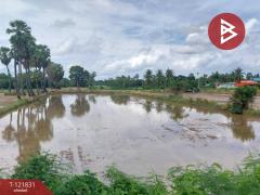 ขายที่ดินที่นา เนื้อที่ 7 ไร่ 3 งาน 64 ตารางวา ช่องสะแก เพชรบุรี-202509191632471758274367978.jpg