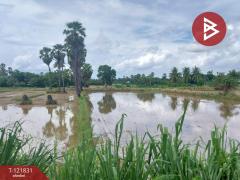 ขายที่ดินที่นา เนื้อที่ 7 ไร่ 3 งาน 64 ตารางวา ช่องสะแก เพชรบุรี-202509191632481758274368511.jpg