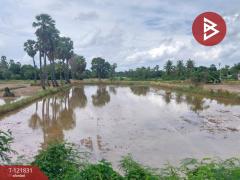 ขายที่ดินที่นา เนื้อที่ 7 ไร่ 3 งาน 64 ตารางวา ช่องสะแก เพชรบุรี-202509191632491758274369054.jpg