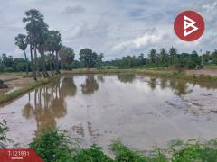 ขายที่ดินที่นา เนื้อที่ 7 ไร่ 3 งาน 64 ตารางวา ช่องสะแก เพชรบุรี-202509191632491758274369590.jpg