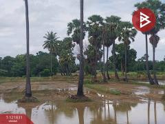 ขายที่ดินที่นา เนื้อที่ 7 ไร่ 3 งาน 64 ตารางวา ช่องสะแก เพชรบุรี-202509191632501758274370142.jpg