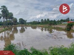 ขายที่ดินที่นา เนื้อที่ 7 ไร่ 3 งาน 64 ตารางวา ช่องสะแก เพชรบุรี-202509191632501758274370676.jpg