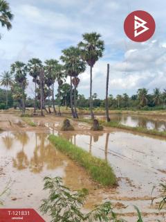 ขายที่ดินที่นา เนื้อที่ 7 ไร่ 3 งาน 64 ตารางวา ช่องสะแก เพชรบุรี-202509191632511758274371214.jpg