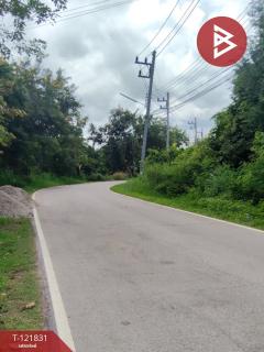 ขายที่ดินที่นา เนื้อที่ 7 ไร่ 3 งาน 64 ตารางวา ช่องสะแก เพชรบุรี-202509191632511758274371743.jpg