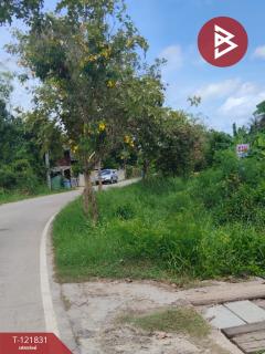 ขายที่ดินที่นา เนื้อที่ 7 ไร่ 3 งาน 64 ตารางวา ช่องสะแก เพชรบุรี-202509191632521758274372335.jpg