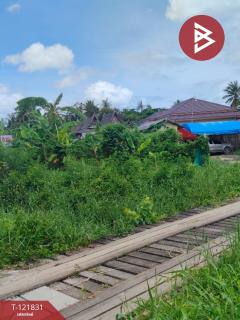 ขายที่ดินที่นา เนื้อที่ 7 ไร่ 3 งาน 64 ตารางวา ช่องสะแก เพชรบุรี-202509191632521758274372884.jpg