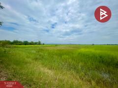 ขายที่ดิน เนื้อที่ 4 ไร่ 2 งาน ต.ไม้เค็ด เมืองปราจีนบุรี