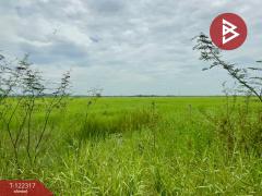 ขายที่ดิน เนื้อที่ 4 ไร่ 2 งาน ต.ไม้เค็ด เมืองปราจีนบุรี-202509191645211758275121267.jpg