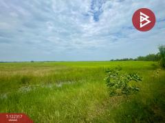 ขายที่ดิน เนื้อที่ 4 ไร่ 2 งาน ต.ไม้เค็ด เมืองปราจีนบุรี-202509191645211758275121797.jpg