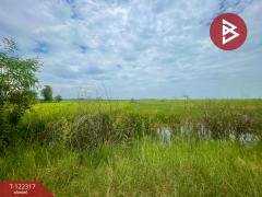 ขายที่ดิน เนื้อที่ 4 ไร่ 2 งาน ต.ไม้เค็ด เมืองปราจีนบุรี-202509191645221758275122326.jpg