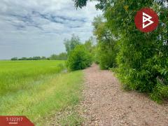 ขายที่ดิน เนื้อที่ 4 ไร่ 2 งาน ต.ไม้เค็ด เมืองปราจีนบุรี-202509191645231758275123397.jpg