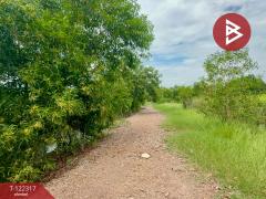 ขายที่ดิน เนื้อที่ 4 ไร่ 2 งาน ต.ไม้เค็ด เมืองปราจีนบุรี-202509191645231758275123932.jpg