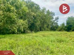 ขายที่ดิน เนื้อที่ 5 ไร่ 2 งาน 50 ตารางวา โนนห้อม ปราจีนบุรี-202509191653411758275621493.jpg