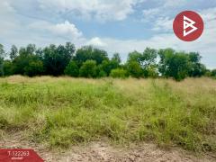 ขายที่ดิน เนื้อที่ 5 ไร่ 2 งาน 50 ตารางวา โนนห้อม ปราจีนบุรี-202509191653421758275622085.jpg