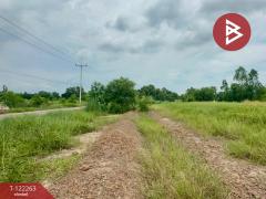 ขายที่ดิน เนื้อที่ 5 ไร่ 2 งาน 50 ตารางวา โนนห้อม ปราจีนบุรี-202509191653421758275622627.jpg