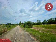 ขายที่ดิน เนื้อที่ 5 ไร่ 2 งาน 50 ตารางวา โนนห้อม ปราจีนบุรี-202509191653441758275624275.jpg