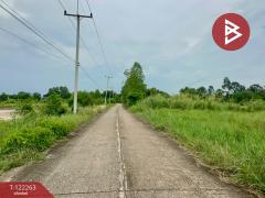 ขายที่ดิน เนื้อที่ 5 ไร่ 2 งาน 50 ตารางวา โนนห้อม ปราจีนบุรี-202509191653441758275624811.jpg