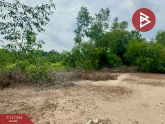 ขายที่ดิน เนื้อที่ 5 ไร่ 2 งาน 50 ตารางวา โนนห้อม ปราจีนบุรี-202509191653451758275625343.jpg