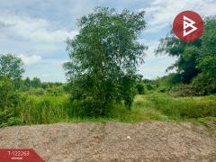 ขายที่ดิน เนื้อที่ 5 ไร่ 2 งาน 50 ตารางวา โนนห้อม ปราจีนบุรี-202509191653451758275625882.jpg