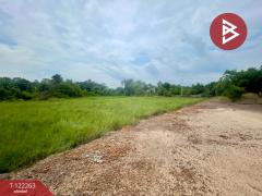 ขายที่ดิน เนื้อที่ 5 ไร่ 2 งาน 50 ตารางวา โนนห้อม ปราจีนบุรี-202509191653461758275626427.jpg