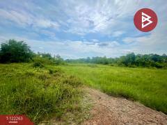 ขายที่ดิน เนื้อที่ 5 ไร่ 2 งาน 50 ตารางวา โนนห้อม ปราจีนบุรี-202509191653461758275626956.jpg