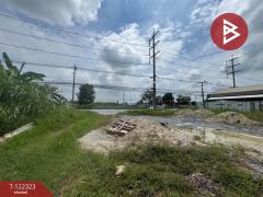 ขายที่ดิน เนื้อที่ 2 ไร่ สามพราน นครปฐม-202509191742161758278536213.jpg