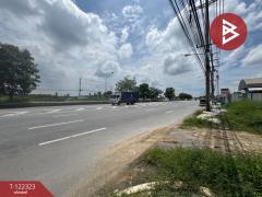 ขายที่ดิน เนื้อที่ 2 ไร่ สามพราน นครปฐม-202509191742191758278539709.jpg