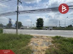 ขายที่ดิน เนื้อที่ 2 ไร่ สามพราน นครปฐม-202509191742201758278540412.jpg