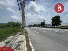 ขายที่ดิน เนื้อที่ 2 ไร่ สามพราน นครปฐม-202509191742211758278541103.jpg