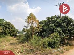 ขายที่ดิน เนื้อที่ 95 ตร.วา โป่งน้ำร้อน จันทบุรี-202509192115561758291356066.jpg