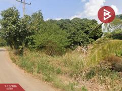 ขายที่ดิน เนื้อที่ 95 ตร.วา โป่งน้ำร้อน จันทบุรี-202509192115561758291356620.jpg