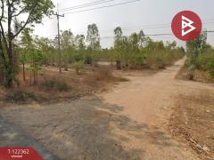  ขายที่ดิน เนื้อที่ 23 ไร่ 74.1 ตารางวา ดอนเจดีย์ อ.อู่ทอง สุพรรณบุรี-202509201037371758339457728.jpg