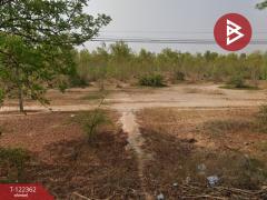  ขายที่ดิน เนื้อที่ 23 ไร่ 74.1 ตารางวา ดอนเจดีย์ อ.อู่ทอง สุพรรณบุรี-202509201037391758339459339.jpg