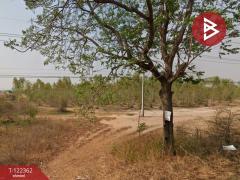  ขายที่ดิน เนื้อที่ 23 ไร่ 74.1 ตารางวา ดอนเจดีย์ อ.อู่ทอง สุพรรณบุรี-202509201037391758339459877.jpg