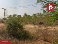  ขายที่ดิน เนื้อที่ 23 ไร่ 74.1 ตารางวา ดอนเจดีย์ อ.อู่ทอง สุพรรณบุรี-202509201037401758339460422.jpg