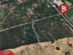  ขายที่ดิน เนื้อที่ 23 ไร่ 74.1 ตารางวา ดอนเจดีย์ อ.อู่ทอง สุพรรณบุรี-202509201037411758339461483.jpg