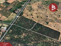  ขายที่ดิน เนื้อที่ 23 ไร่ 74.1 ตารางวา ดอนเจดีย์ อ.อู่ทอง สุพรรณบุรี-202509201037421758339462016.jpg