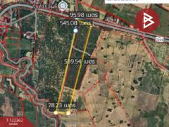  ขายที่ดิน เนื้อที่ 23 ไร่ 74.1 ตารางวา ดอนเจดีย์ อ.อู่ทอง สุพรรณบุรี-202509201037421758339462579.jpg