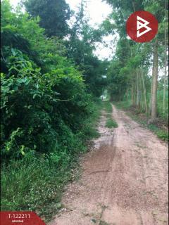 ขายที่ดิน เนื้อที่ 174 ตารางวา โคกปี่ฆ้อง สระแก้ว