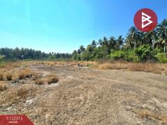 ขายที่ดิน เนื้อที่ 2 ไร่ 2 งาน 21.6 ตร.วา อัมพวา สมุทรสงคราม-202509201236581758346618129.jpg