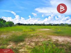  ขายบ้านสวนพร้อมที่ดิน เนื้อที่ 5 ไร่ 1 งาน 96.3 ตารางวา โคกตะบอง ท่ามะกา กาญจนบุรี-202509201244171758347057459.jpg