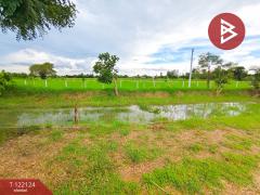  ขายบ้านสวนพร้อมที่ดิน เนื้อที่ 5 ไร่ 1 งาน 96.3 ตารางวา โคกตะบอง ท่ามะกา กาญจนบุรี-202509201244181758347058010.jpg