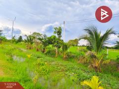  ขายบ้านสวนพร้อมที่ดิน เนื้อที่ 5 ไร่ 1 งาน 96.3 ตารางวา โคกตะบอง ท่ามะกา กาญจนบุรี-202509201244191758347059547.jpg