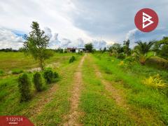  ขายบ้านสวนพร้อมที่ดิน เนื้อที่ 5 ไร่ 1 งาน 96.3 ตารางวา โคกตะบอง ท่ามะกา กาญจนบุรี-202509201244211758347061822.jpg