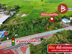 ขายที่ดิน เนื้อที่ 3 งาน 45 ตร.วา ป่าเซ่า อุตรดิตถ์-202509201431421758353502129.jpg