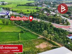 ขายที่ดิน เนื้อที่ 3 งาน 45 ตร.วา ป่าเซ่า อุตรดิตถ์-202509201431431758353503837.jpg