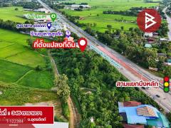 ขายที่ดิน เนื้อที่ 3 งาน 45 ตร.วา ป่าเซ่า อุตรดิตถ์-202509201431441758353504388.jpg